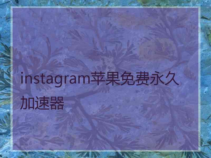 instagram苹果免费永久加速器 instagram苹果免费永久加速器